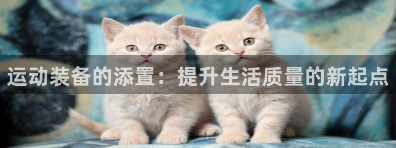 征途国际代理：运动装备的添置：提升生活质量的新起点