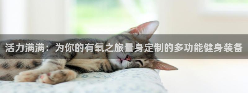 征途国际软件：活力满满：为你的有氧之旅量身定制的多功
