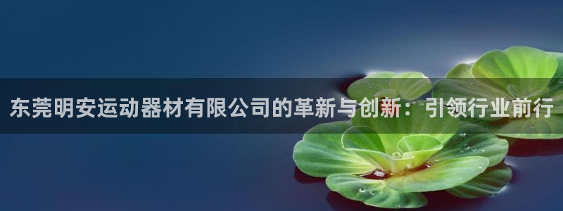 征途国际招商电话号码查询：东莞明安运动器材有限公司的