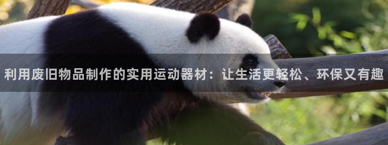 征途国际平台：利用废旧物品制作的实用运动器材：让生活