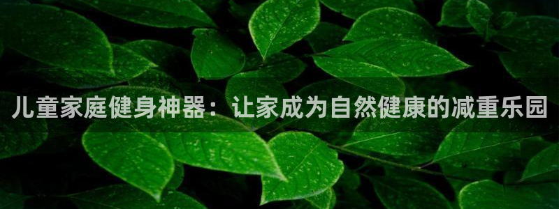 征途国际新能源：儿童家庭健身神器：让家成为自然健康的