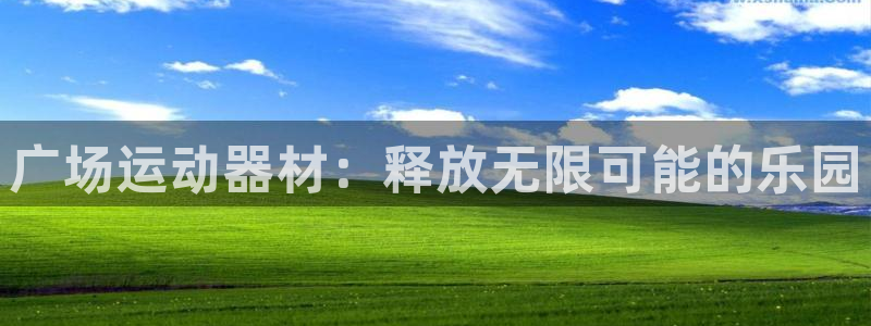 征途国际招商电话号码是多少啊：广场运动器材：释放无限