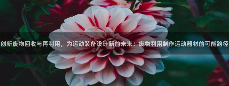 征途国际娱乐网站