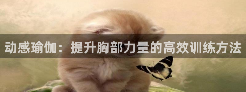 征途国际平台注册流程视频：动感瑜伽：提升胸部力量的高效训练方