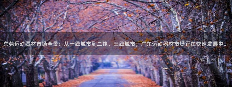 征途国际软件：东莞运动器材市场全景：从一线城市到二线