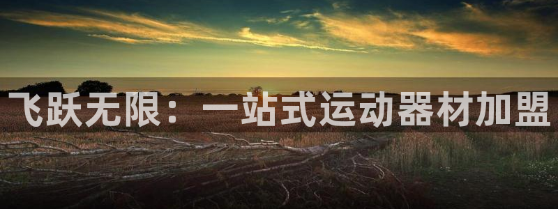 征途国际官网