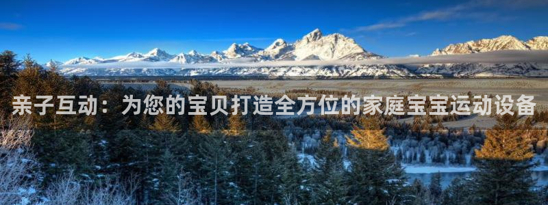 征途国际娱乐网站：亲子互动：为您的宝贝打造全方位的家庭宝宝运