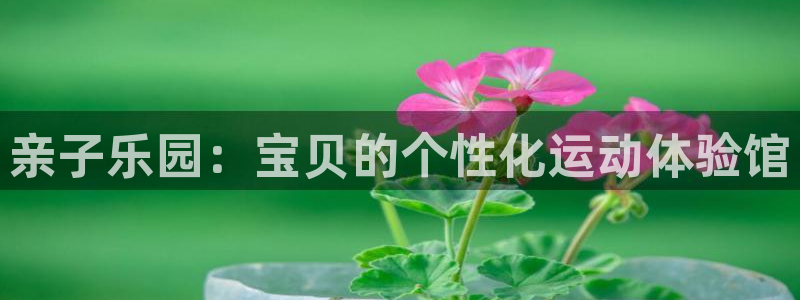 征途国际集团官网：亲子乐园：宝贝的个性化运动体验馆