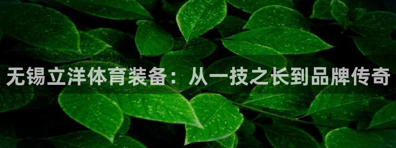 注册征途国际：无锡立洋体育装备：从一技之长到品牌传奇