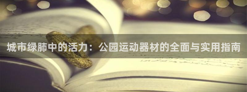征途国际开户：城市绿肺中的活力：公园运动器材的全面与实用指南