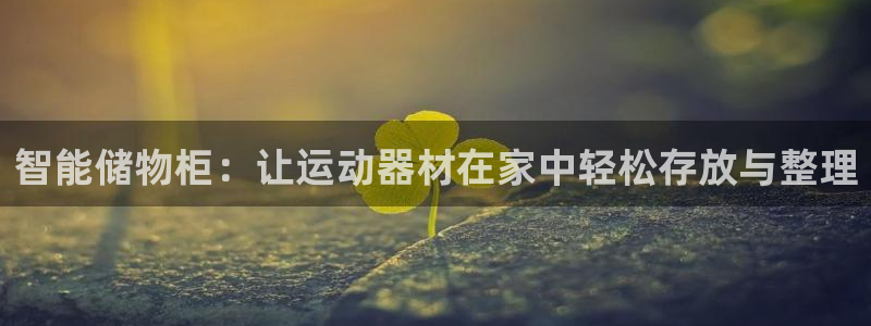 征途国际娱乐代理怎么样：智能储物柜：让运动器材在家中轻松存放