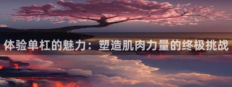 征途国际平台体育：体验单杠的魅力：塑造肌肉力量的终极