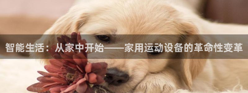 海南征途国际发展怎么样：智能生活：从家中开始——家用