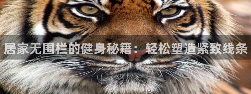 征途国际开户：居家无围栏的健身秘籍：轻松塑造紧致线条