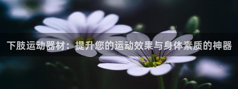 征途国际平台假的吗是真的吗吗：下肢运动器材：提升您的运动效果