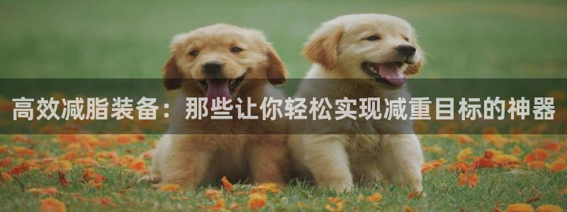 征途国际平台假的吗是真的吗吗