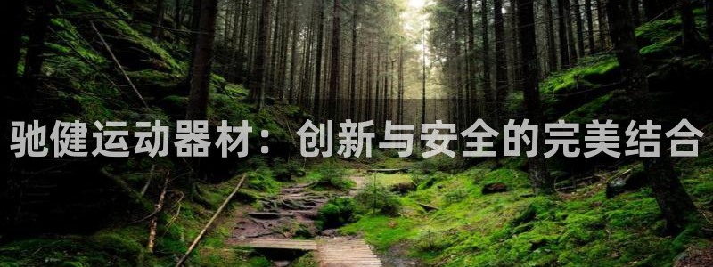 征途国际官方：驰健运动器材：创新与安全的完美结合