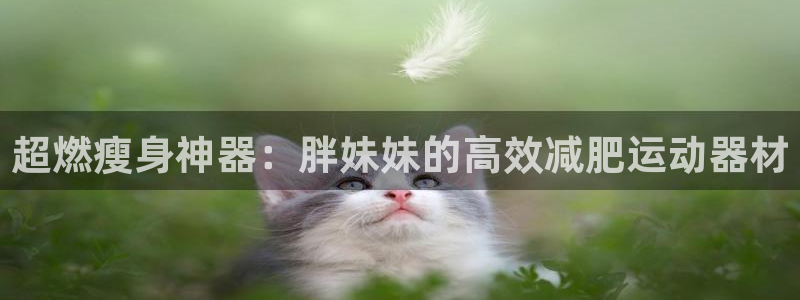 征途国际平台APP：超燃瘦身神器：胖妹妹的高效减肥运